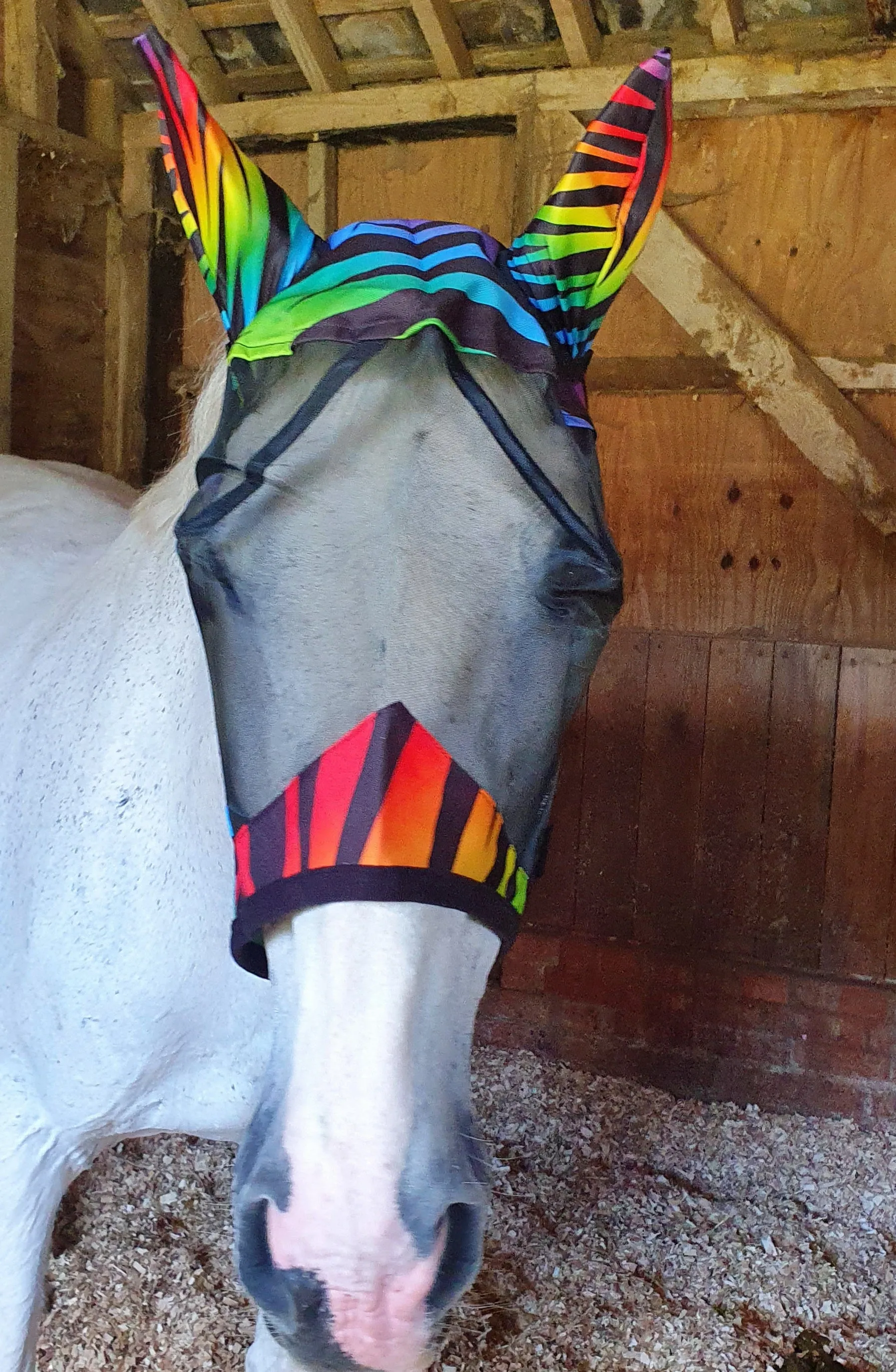 Rainbow Zebra Fly Masks